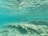An underwater scene featuring several fish swimming above a rocky seabed. The clear turquoise water allows sunlight to create rippling patterns on the sandy surface below. The environment is serene and natural, with varied sea life visible.