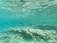 An underwater scene featuring several fish swimming above a rocky seabed. The clear turquoise water allows sunlight to create rippling patterns on the sandy surface below. The environment is serene and natural, with varied sea life visible.