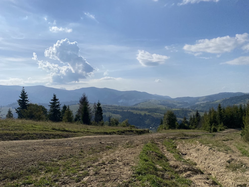 a dirt road in the middle of a field