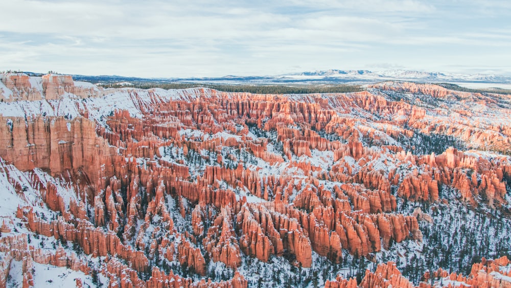 an aerial view of a snow covered forest