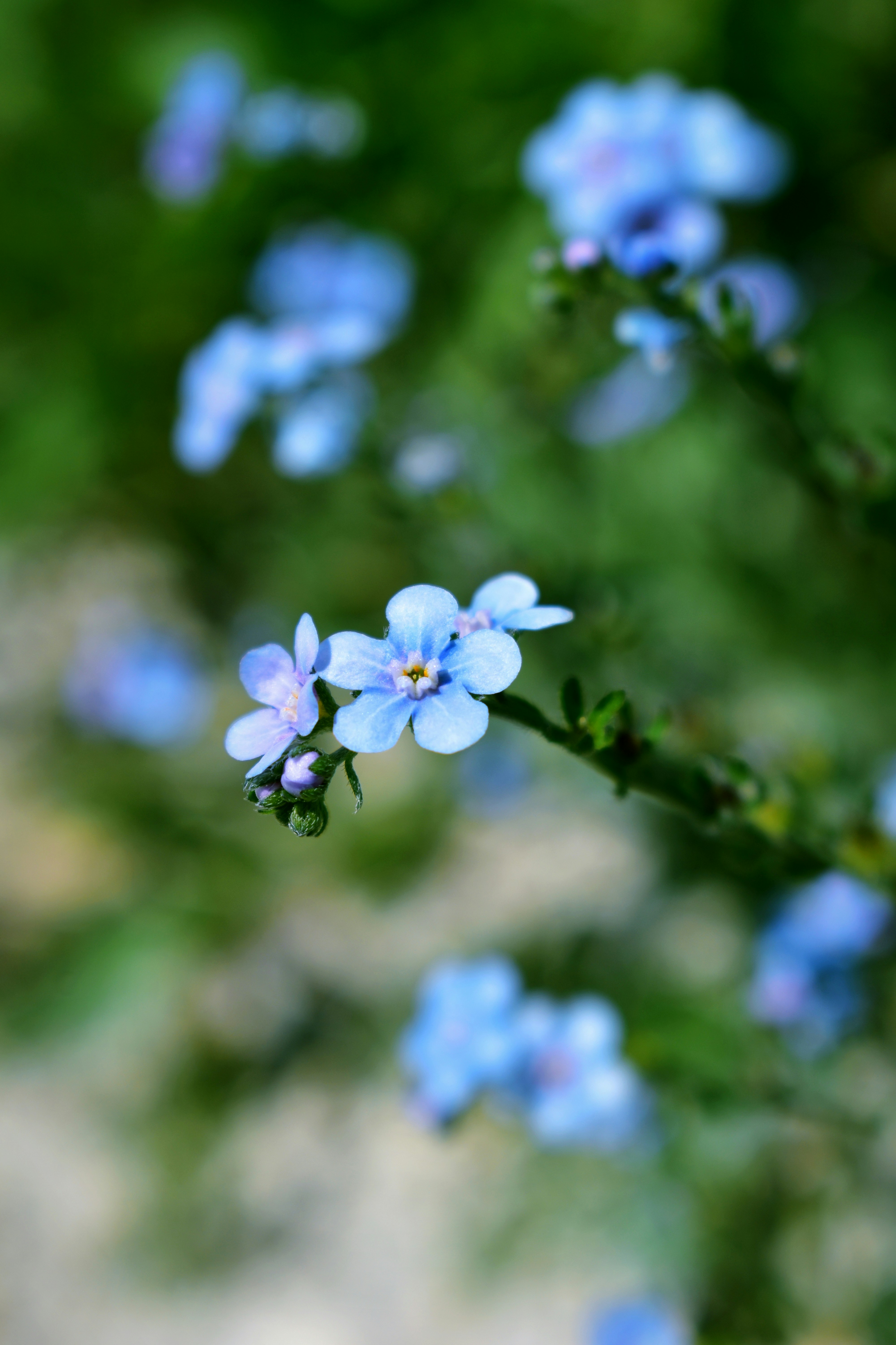 Photo by polina_grishma