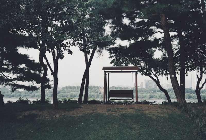 Seonyudo