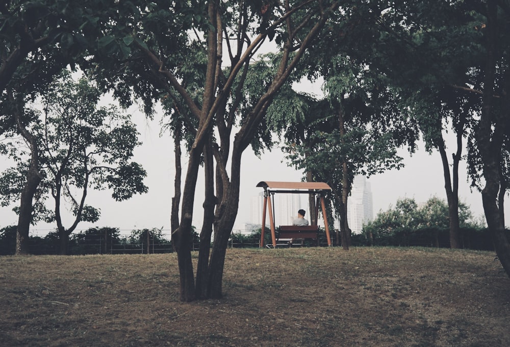 a swing in the middle of some trees