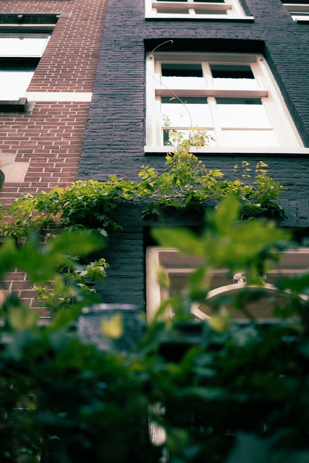 a tall brick building with plants growing on the side of it