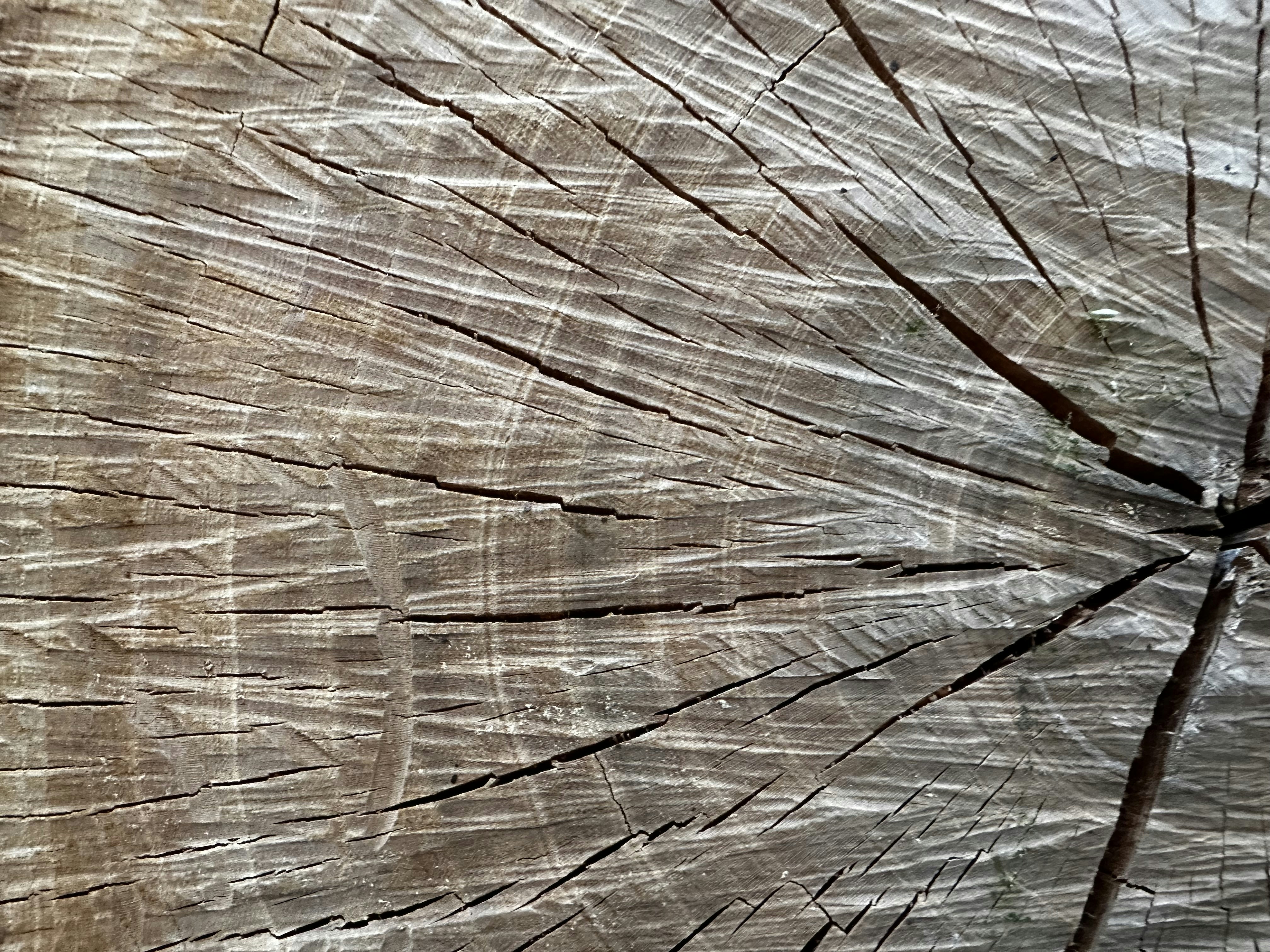 Hair spray locking fibers