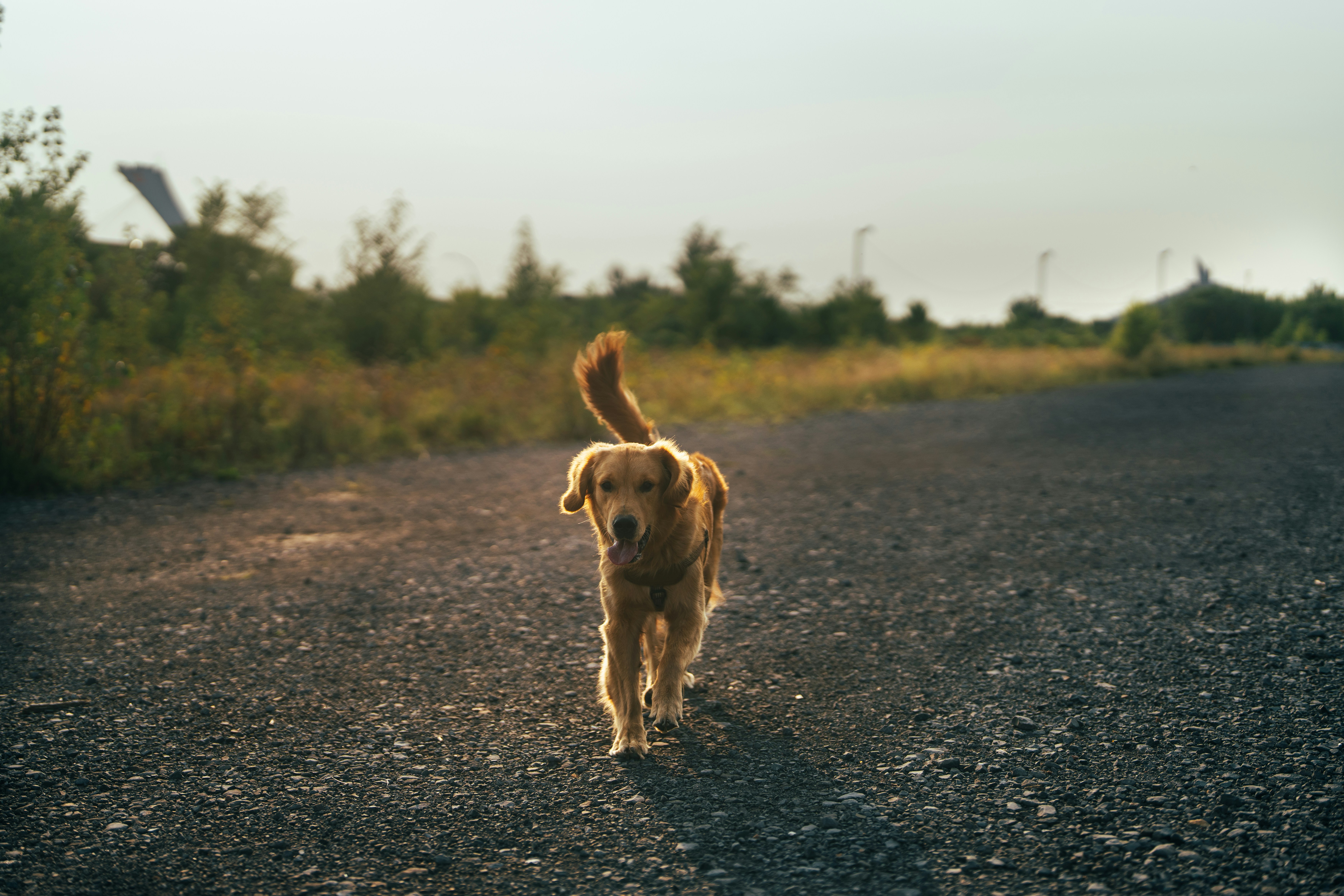 Photo by user90807060