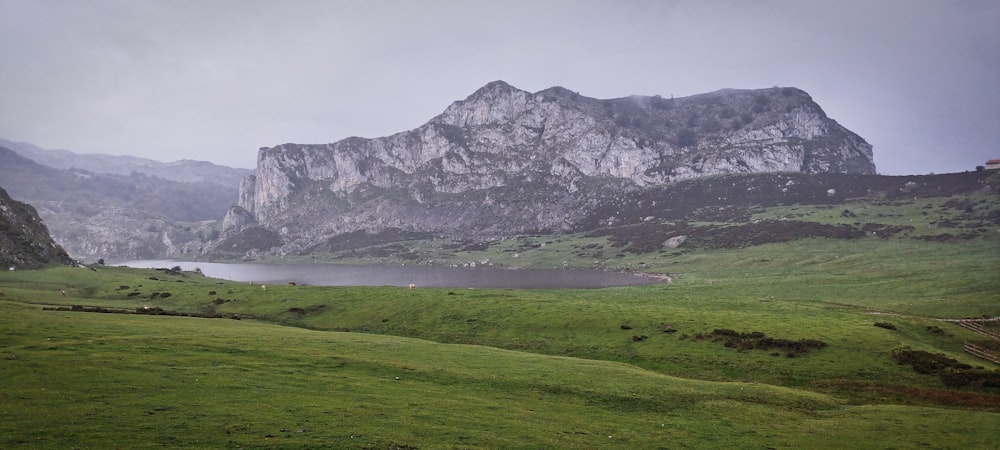 a grassy field with a mountain in the background