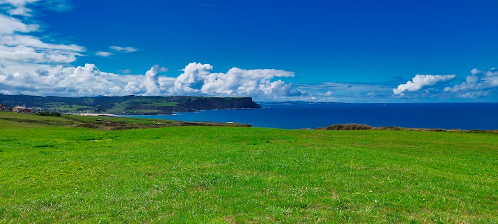 a grassy field with a view of the ocean