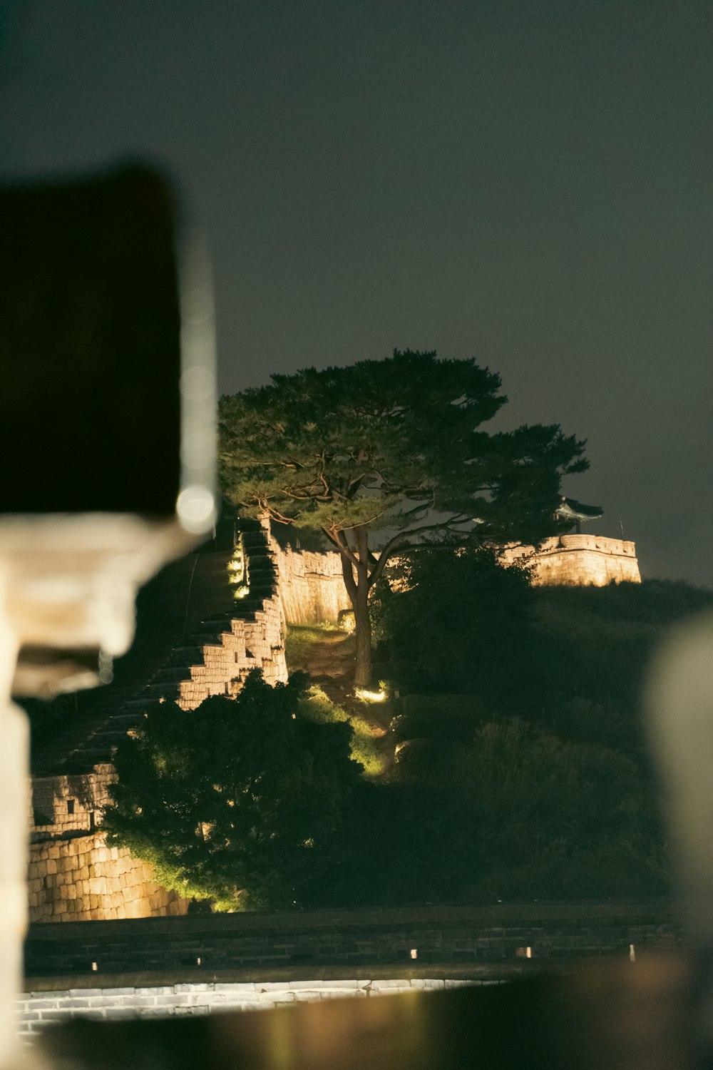 a castle lit up at night with a tree on top of it