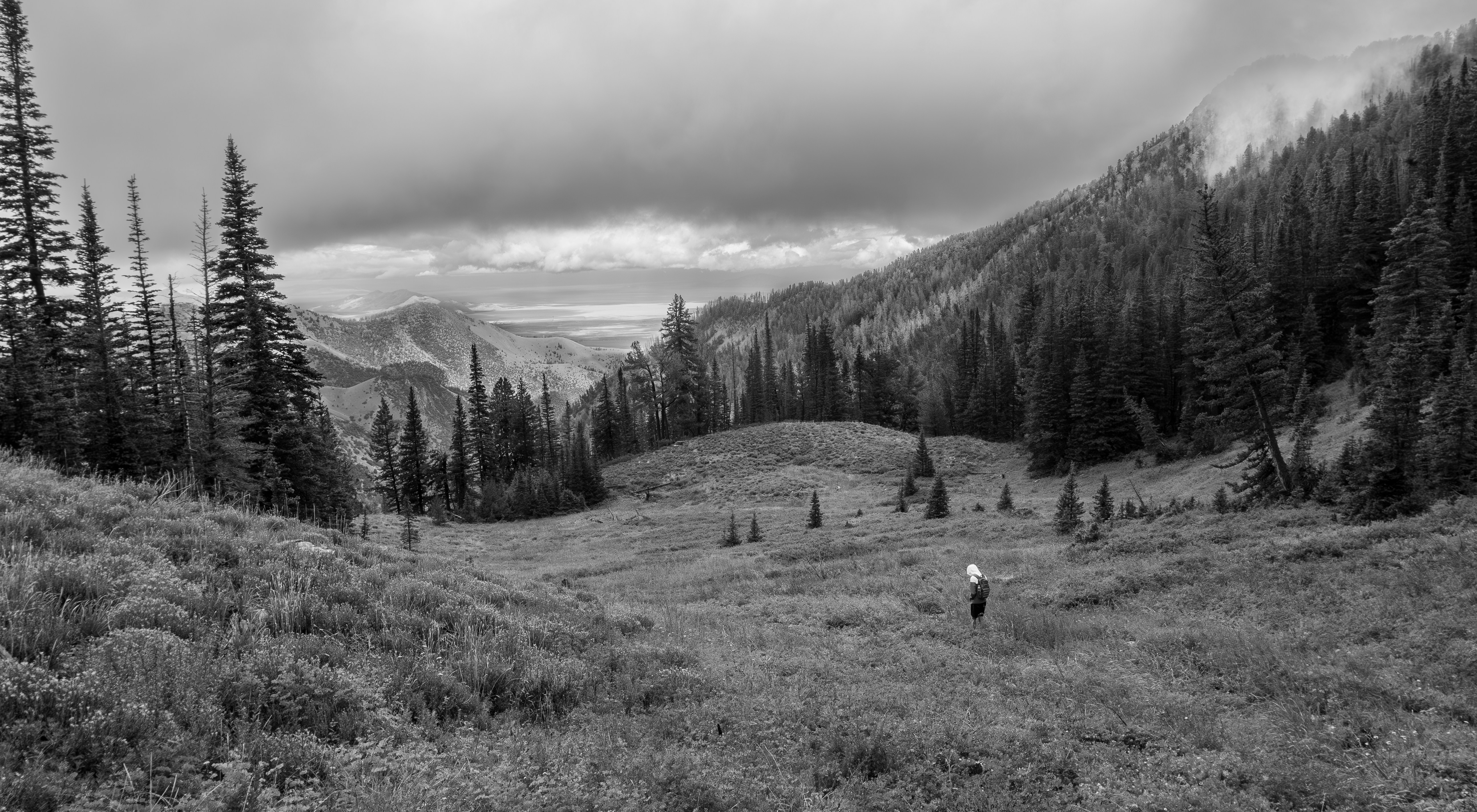 Photo by joshwalker24