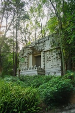 An ancient sun symbol carved into stone surrounded by lush greenery.