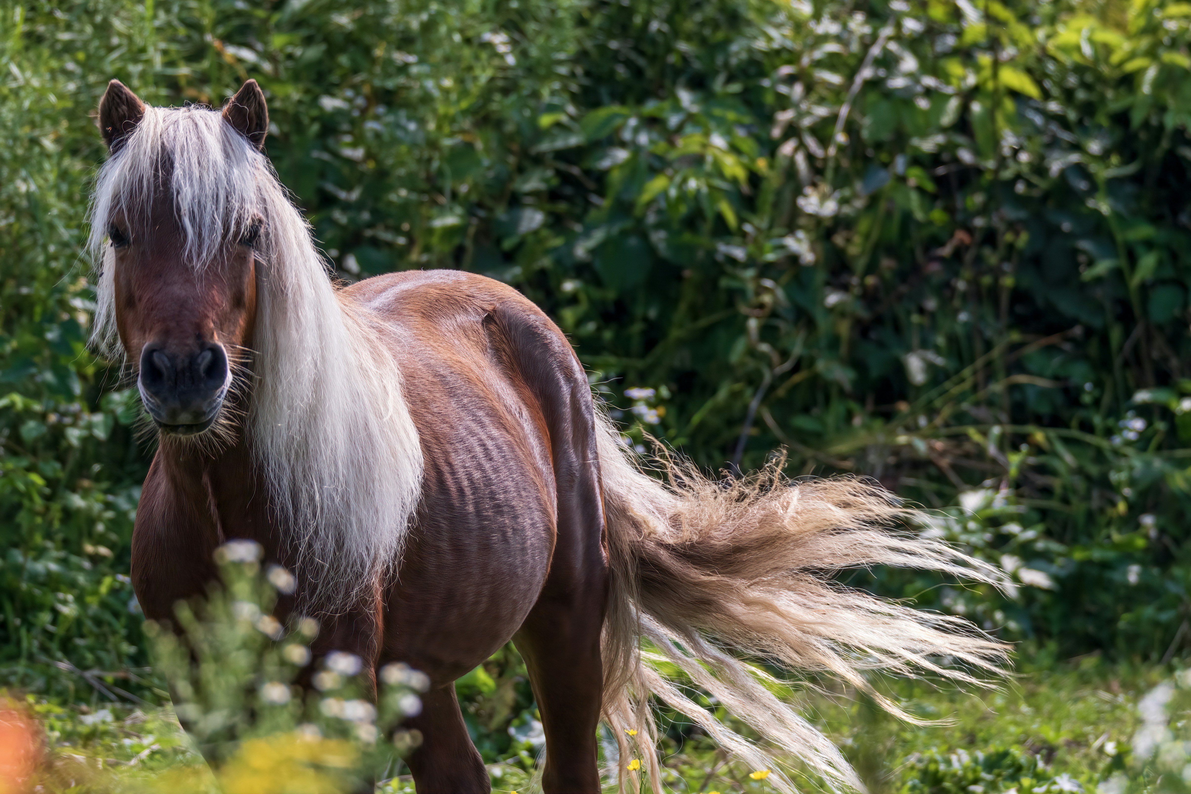 Photo by camerauthor