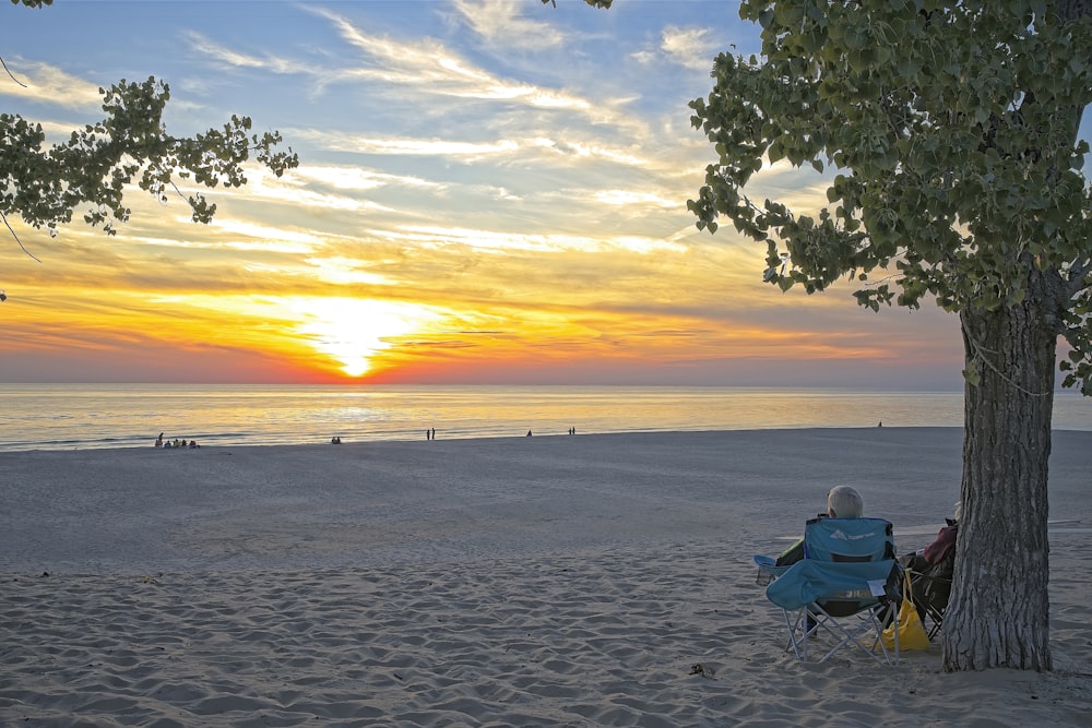 a person sitting in a chair under a tree on a beach