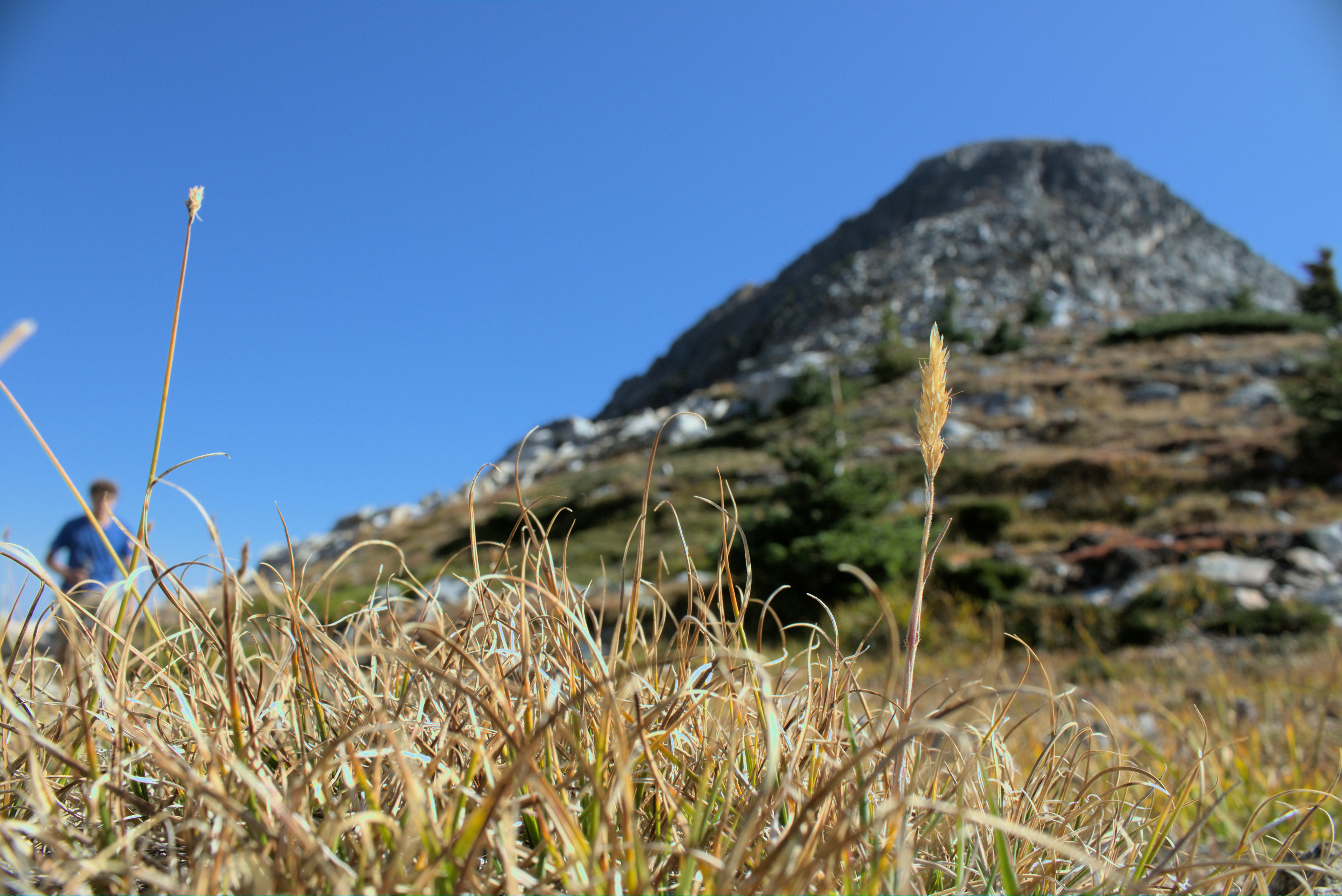 Photo by dcanadianphotographer