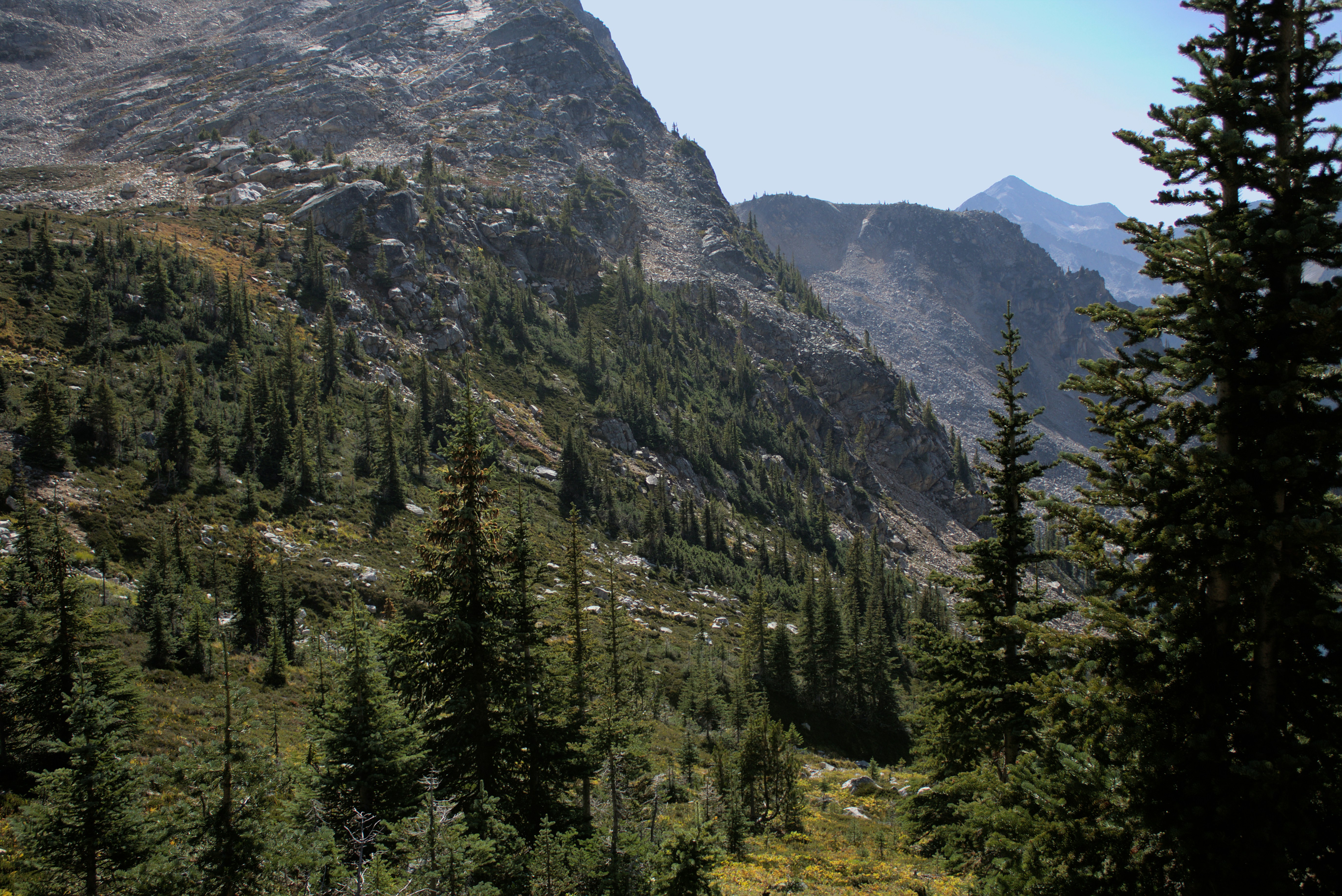 Photo by dcanadianphotographer