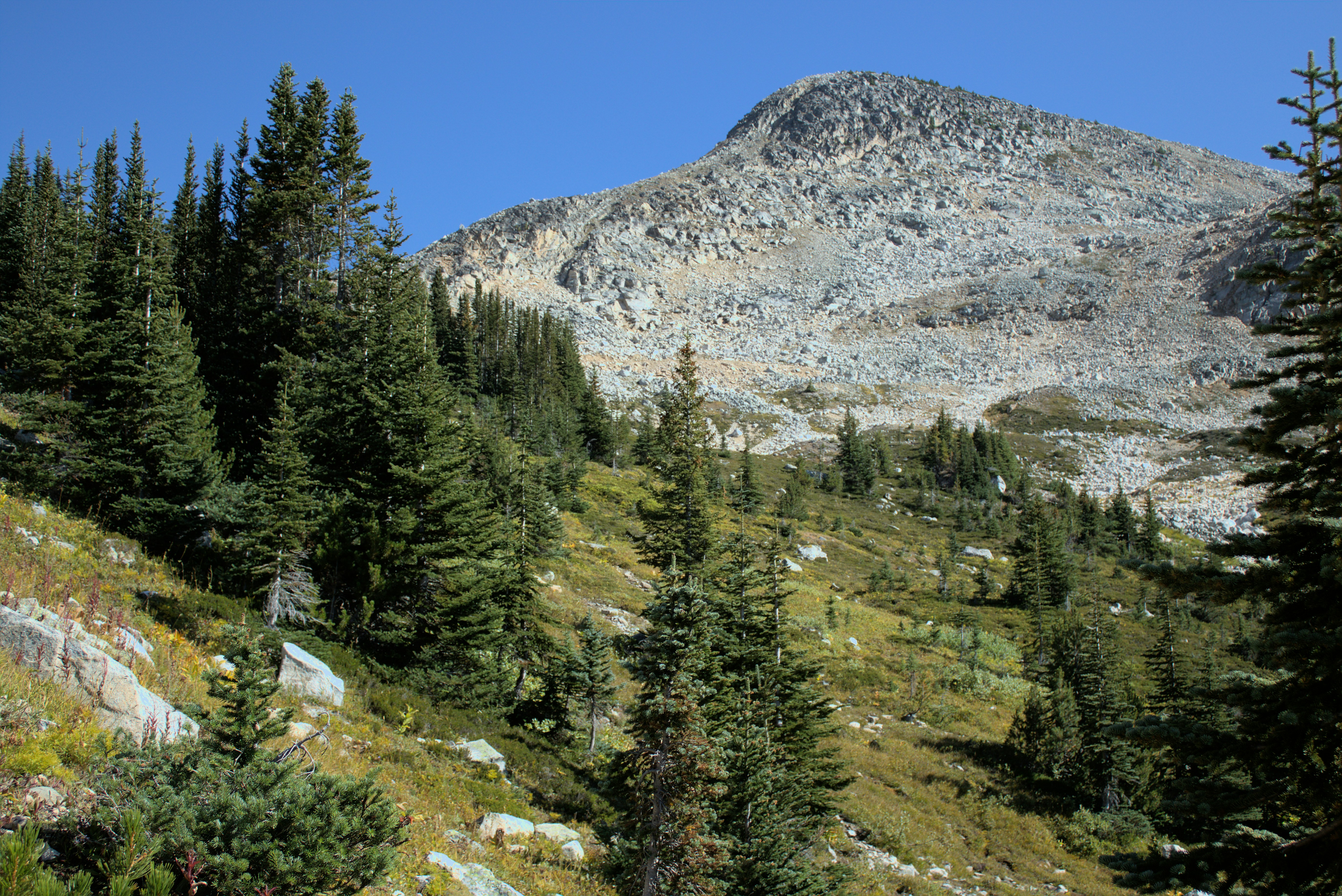 Photo by dcanadianphotographer