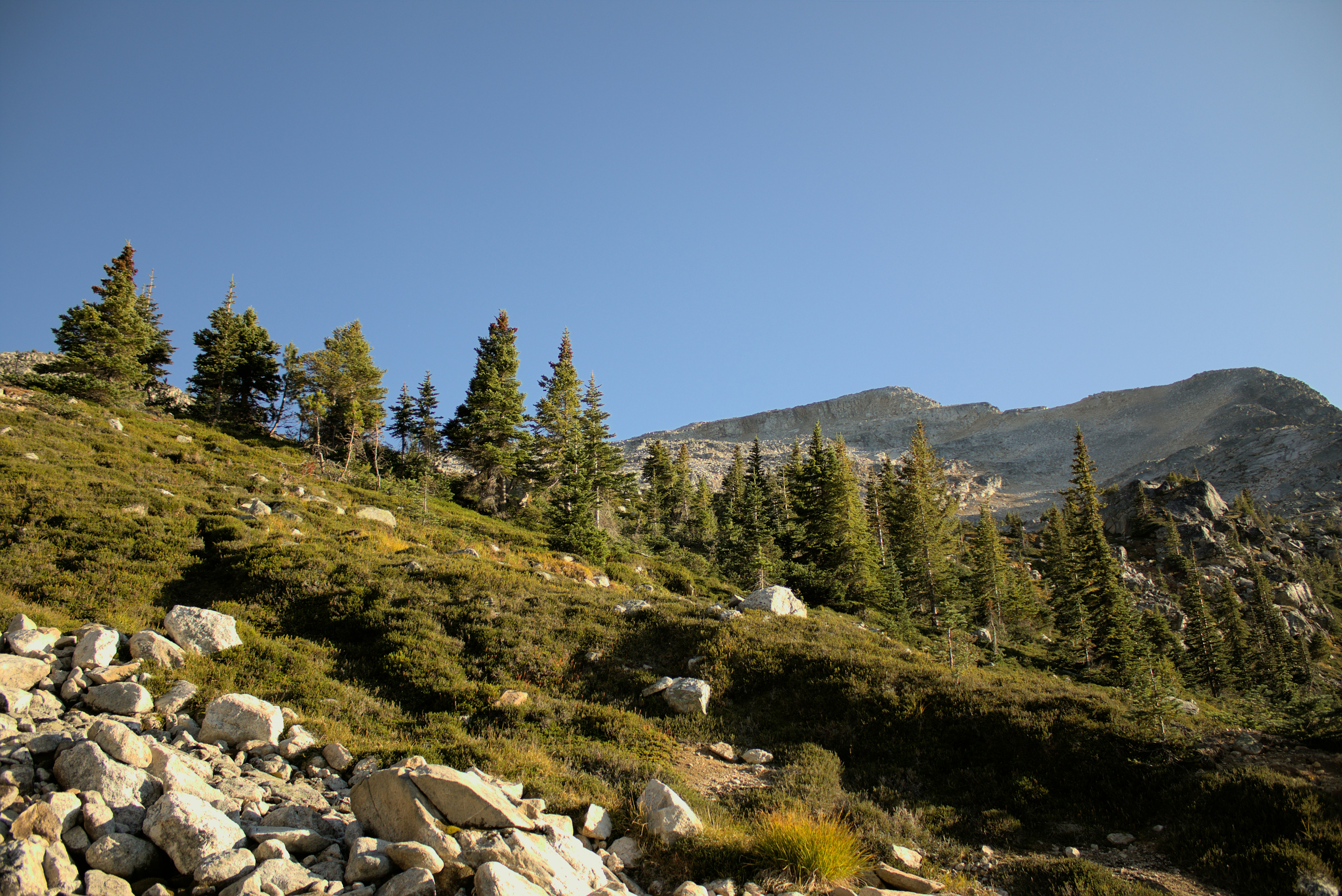 Photo by dcanadianphotographer