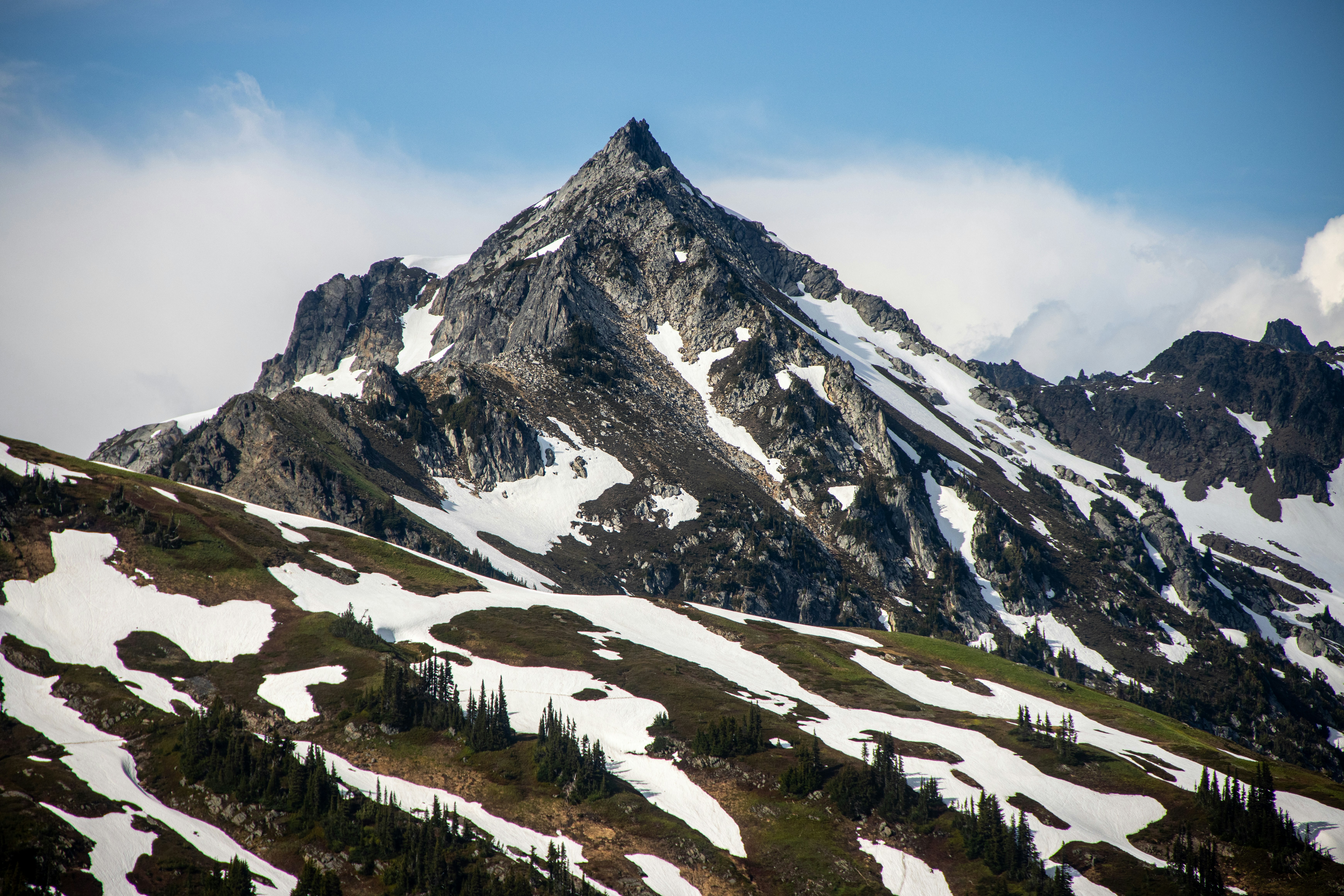 a snow covered mountain with trees on the side