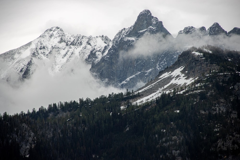 Ein schneebedeckter Berg und umgeben von Bäumen