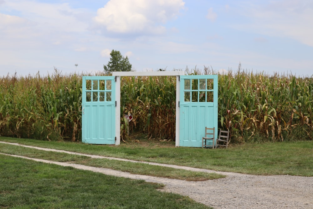 a corn field with two blue doors in the middle of it