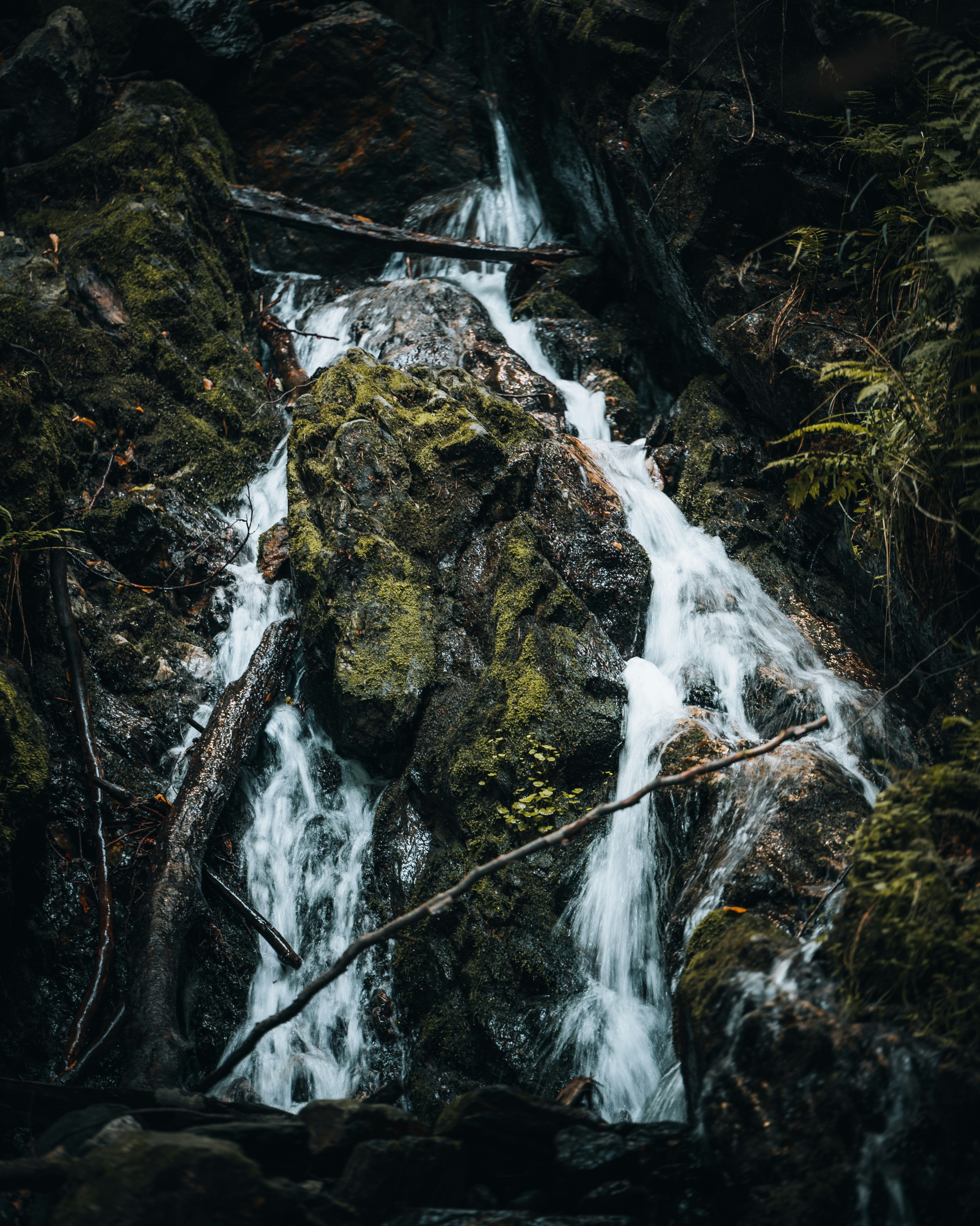 Photo by tamas_tuzeskatai