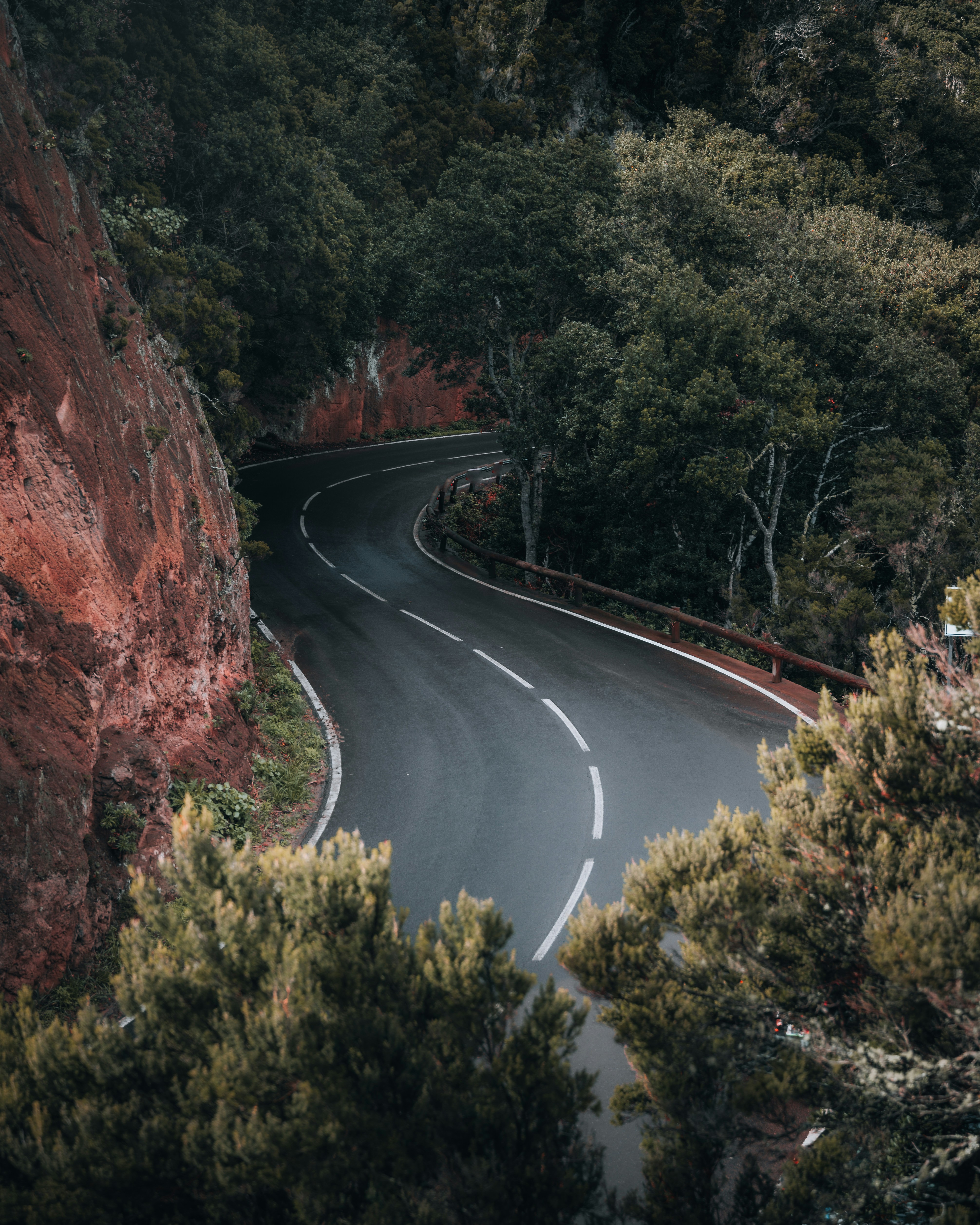 Una curva en la carretera rodeada de árboles