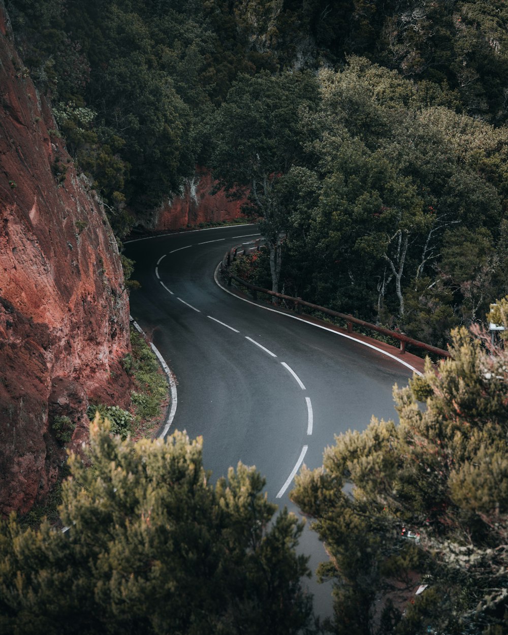 a curve in the road surrounded by trees