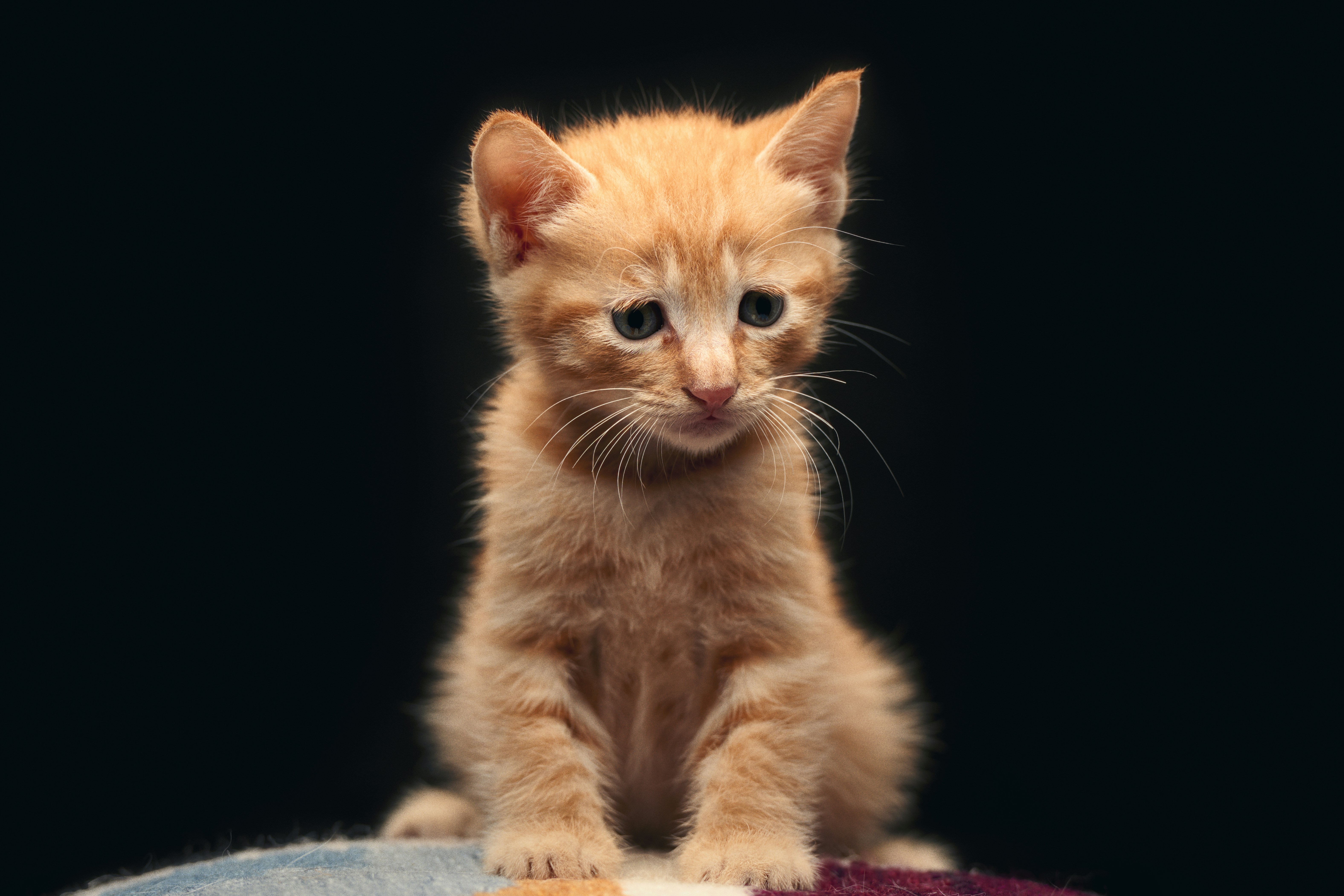 Photo by dodowang1994