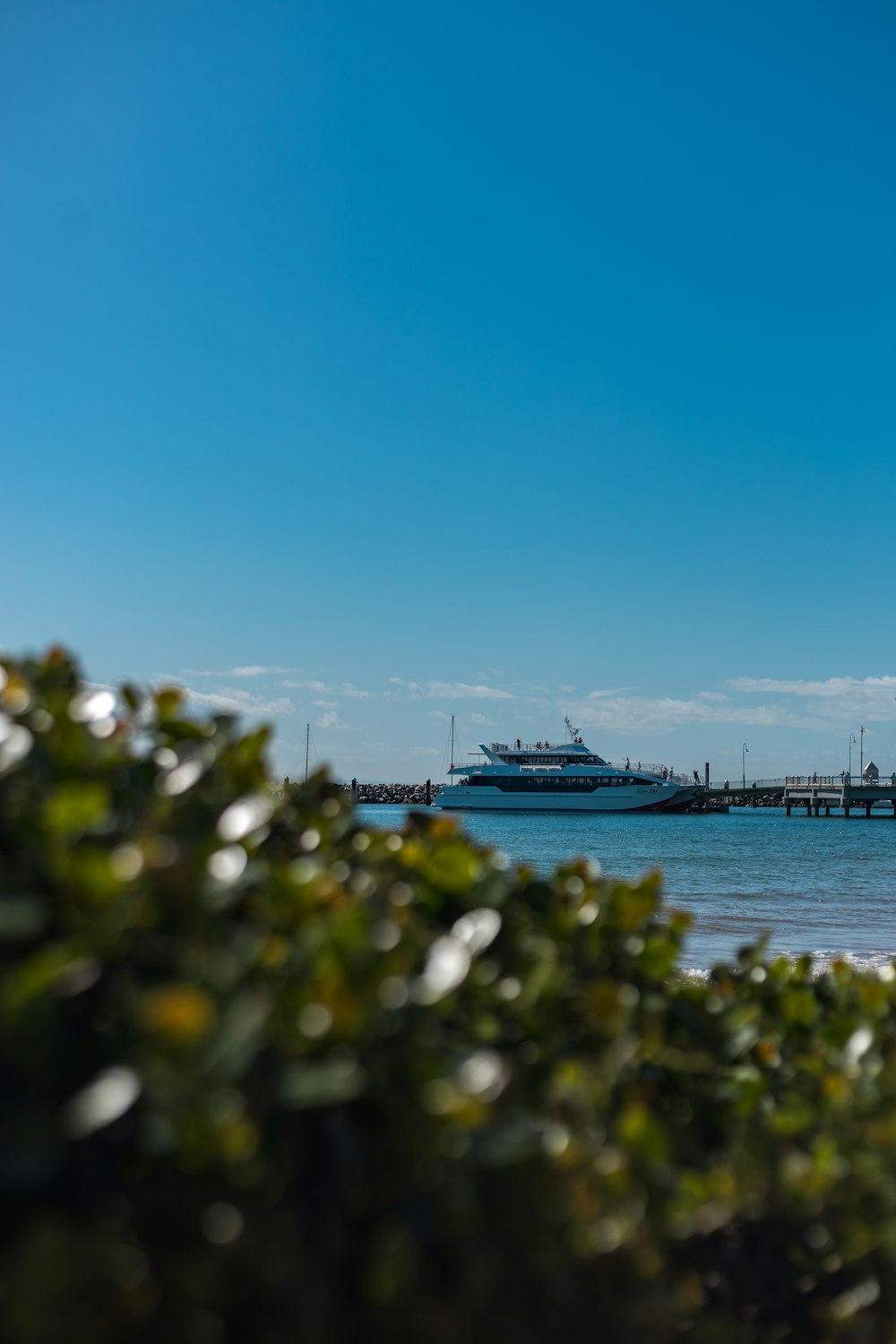 a cruise ship in the water near a pier