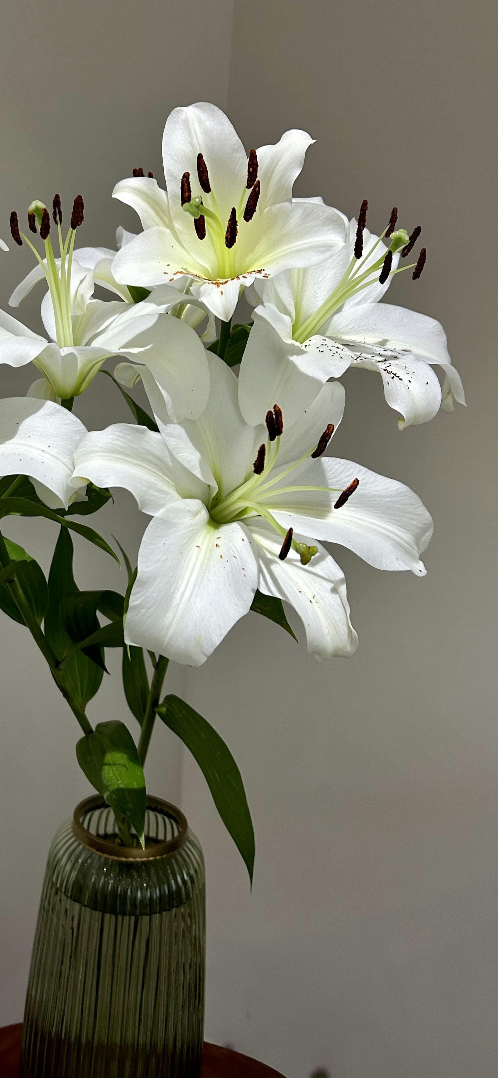 Arranjo Elegância Natural