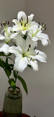 Elegant white lilies with long green stems, arranged in a clear glass vase.