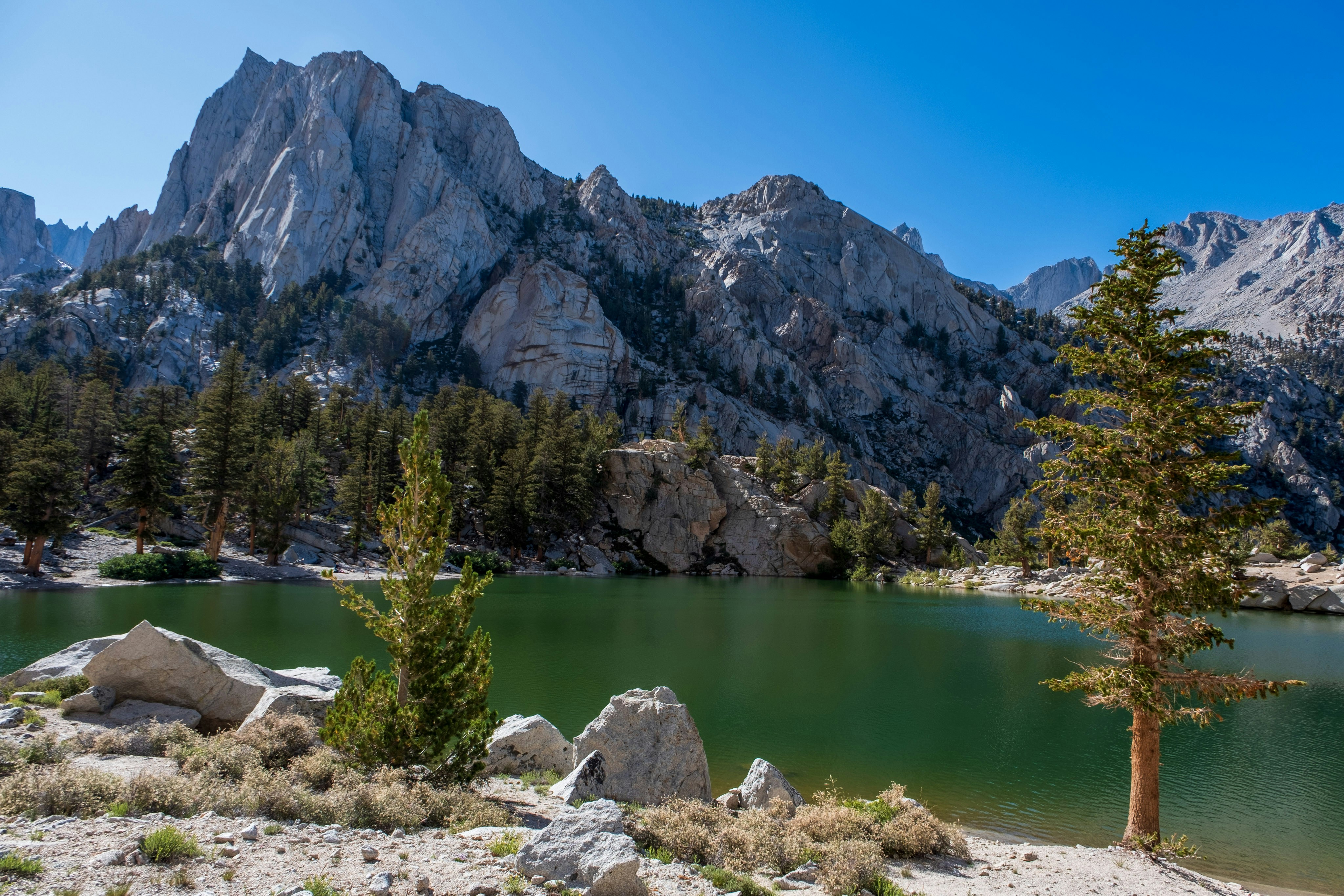 a lake surrounded by mountains with a tree in the foreground
