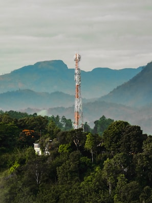 A telecommunications tower stands amidst lush green foliage, surrounded by various trees and shrubs. In the background, misty blue hills rise under a cloudy sky, creating a serene and natural setting.