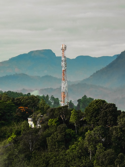 A telecommunications tower stands amidst lush green foliage, surrounded by various trees and shrubs. In the background, misty blue hills rise under a cloudy sky, creating a serene and natural setting.