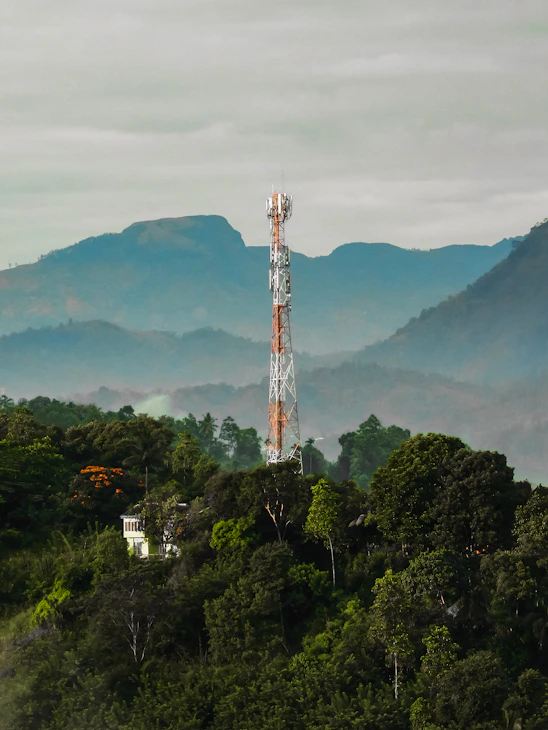 A telecommunications tower stands amidst lush green foliage, surrounded by various trees and shrubs. In the background, misty blue hills rise under a cloudy sky, creating a serene and natural setting.