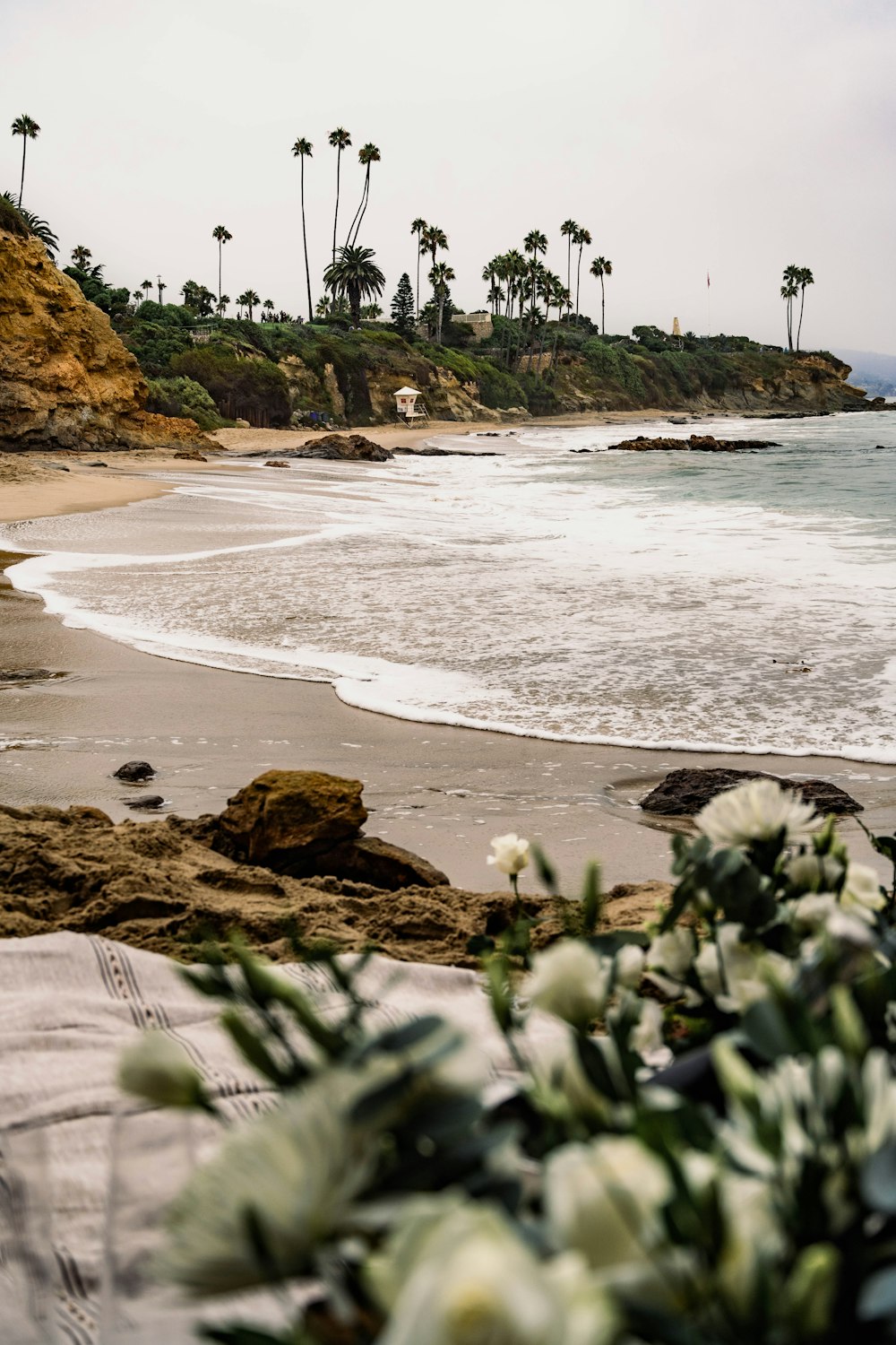 a view of a beach with palm trees in the background