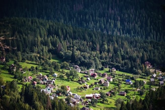 A picturesque village nestled in a valley surrounded by lush green forests. The village consists of numerous small houses scattered across an expanse of greenery, with dense trees rising in the background. The landscape is serene and bathed in natural light, giving a sense of tranquility.