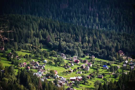 A picturesque village nestled in a valley surrounded by lush green forests. The village consists of numerous small houses scattered across an expanse of greenery, with dense trees rising in the background. The landscape is serene and bathed in natural light, giving a sense of tranquility.