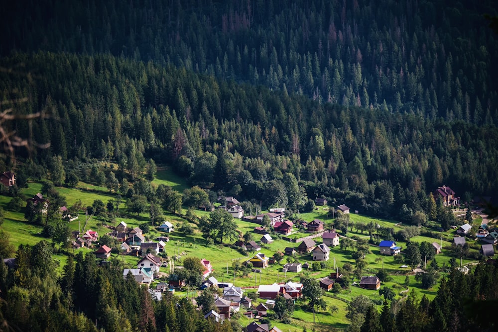 a small village nestled in the middle of a forest