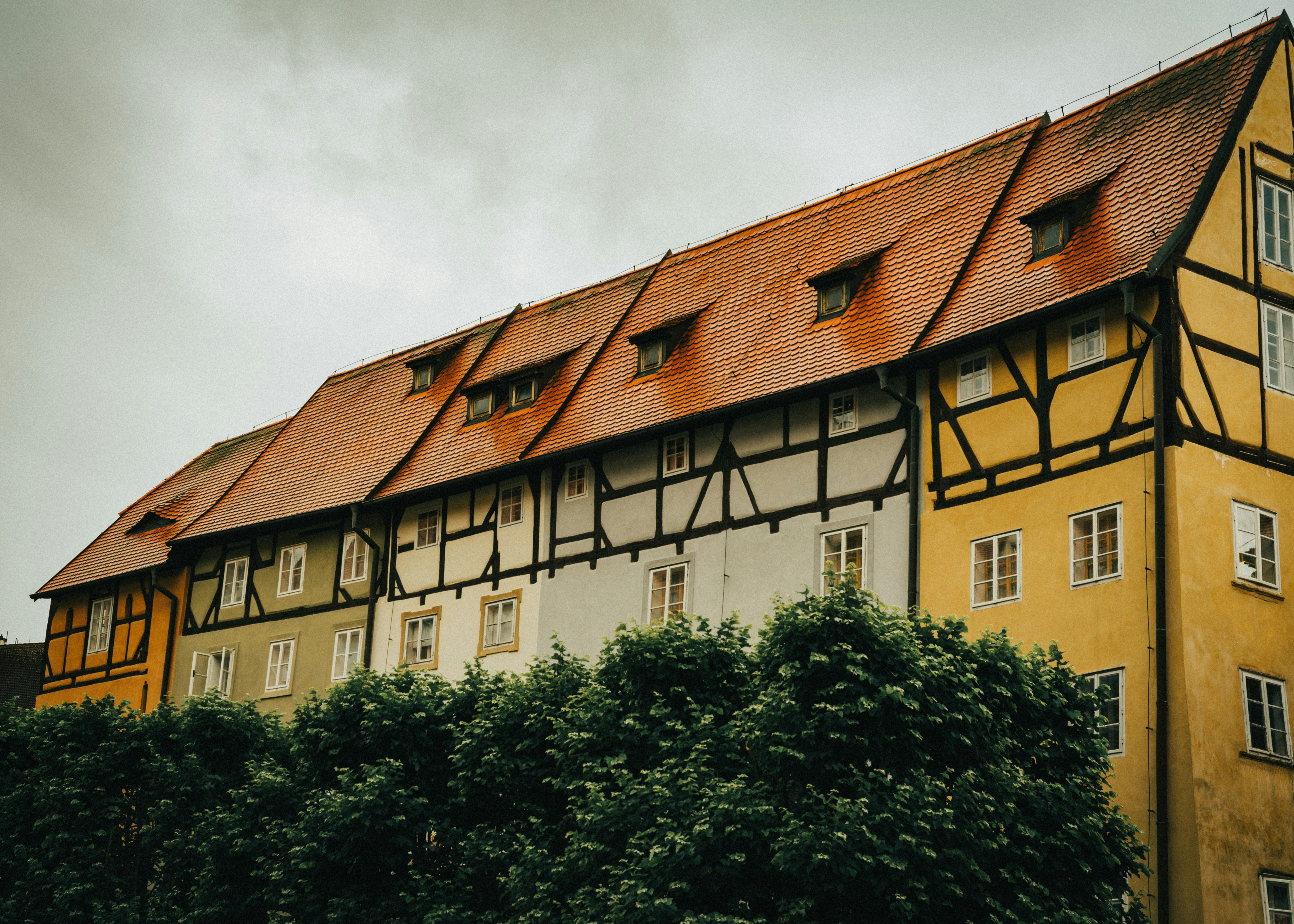 Photo by delamfotky