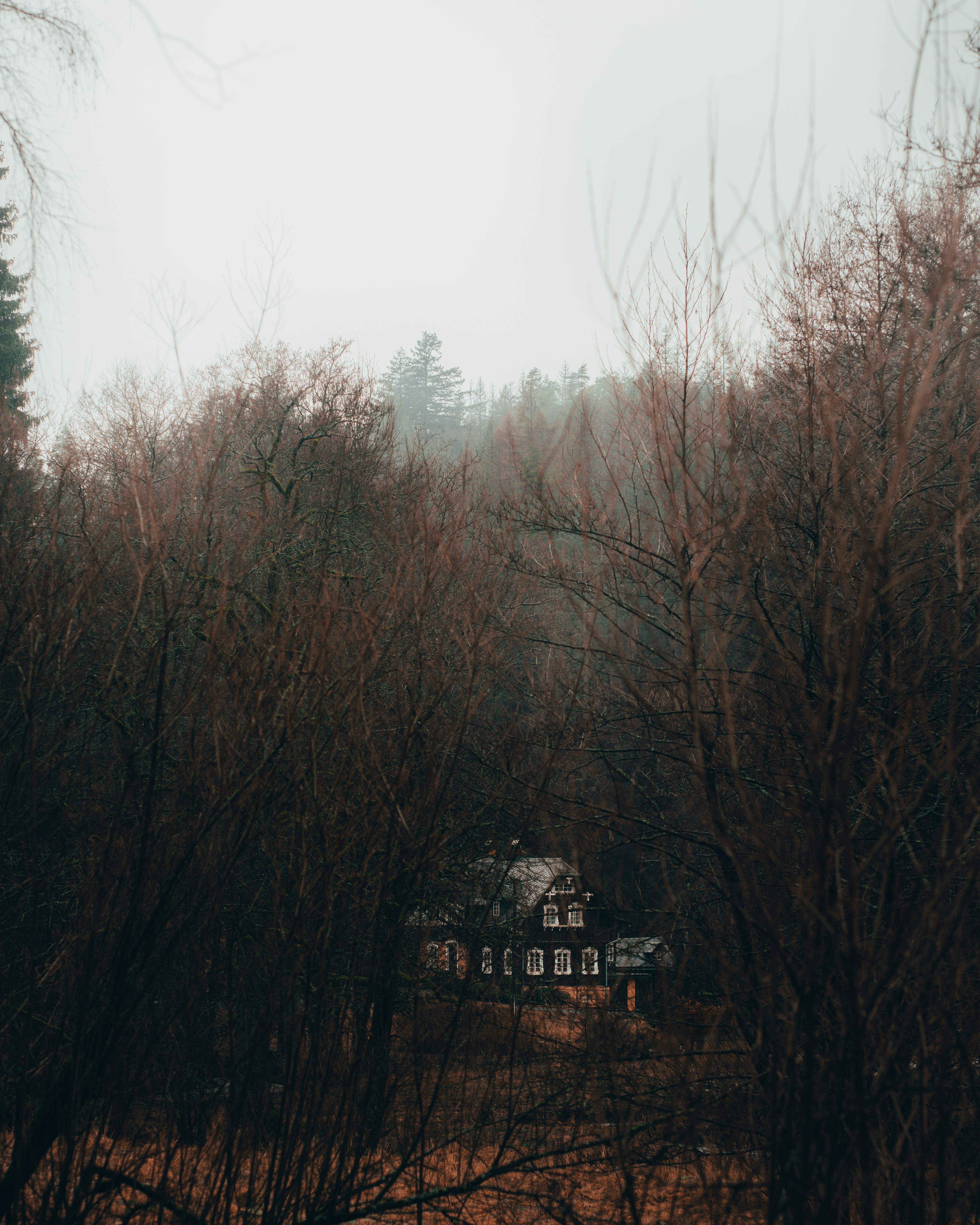 The Enigma of Willow Creek