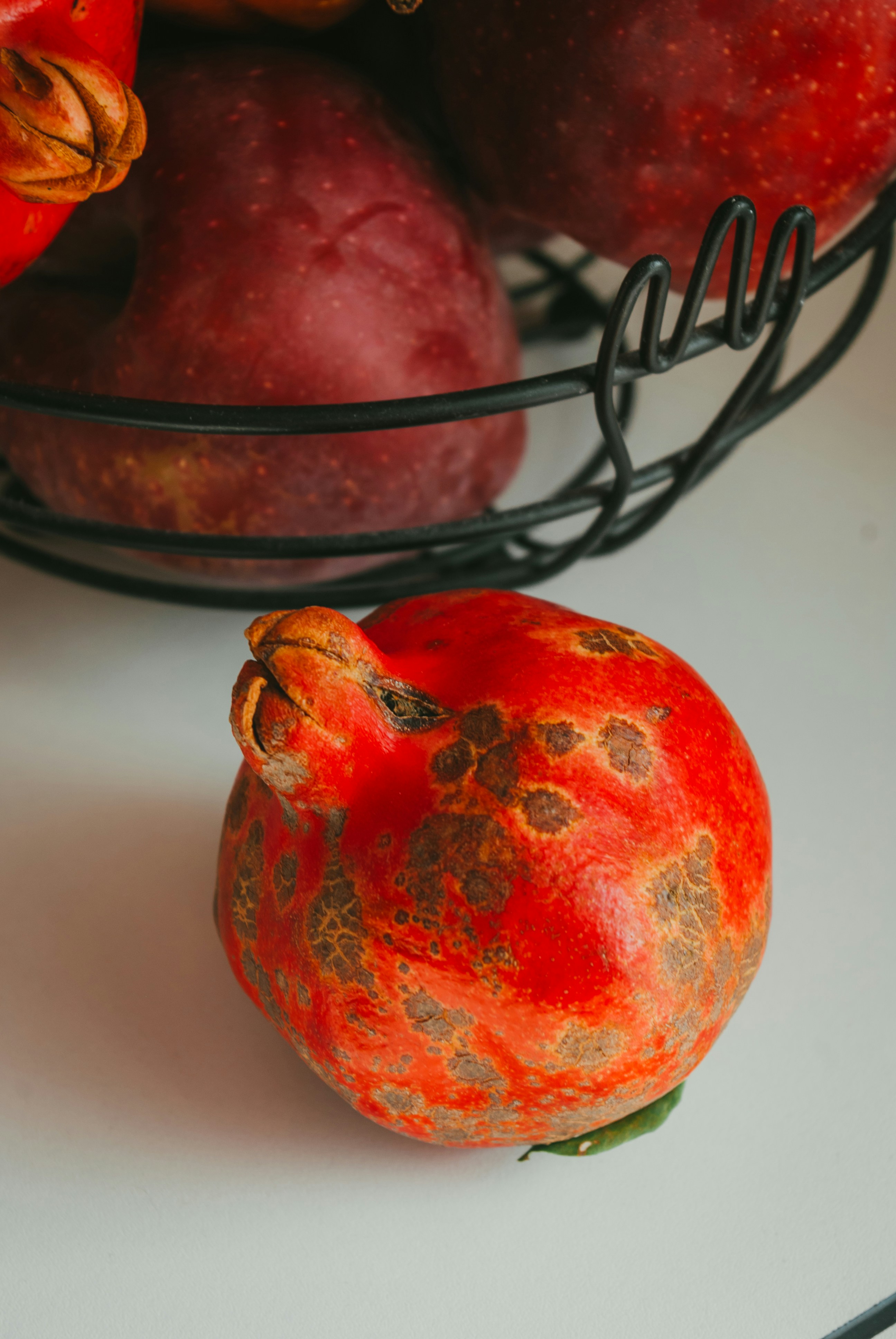 Photo by moonmoons_days