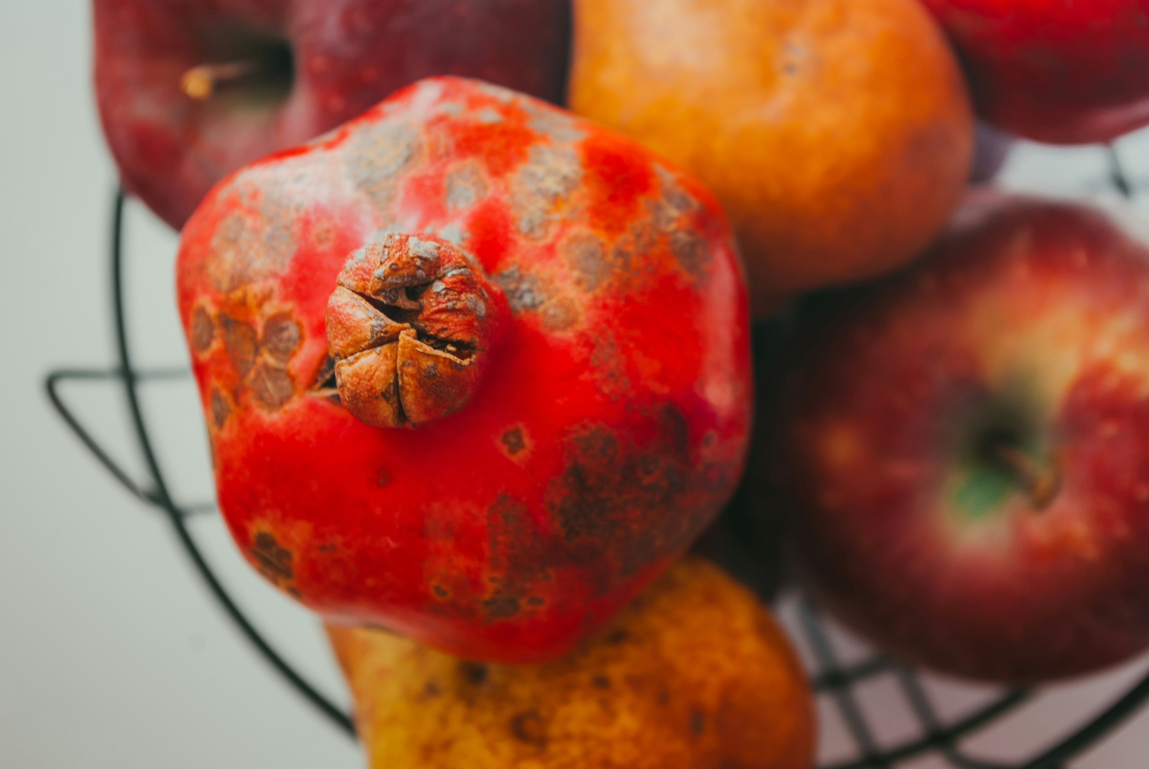 Photo by moonmoons_days