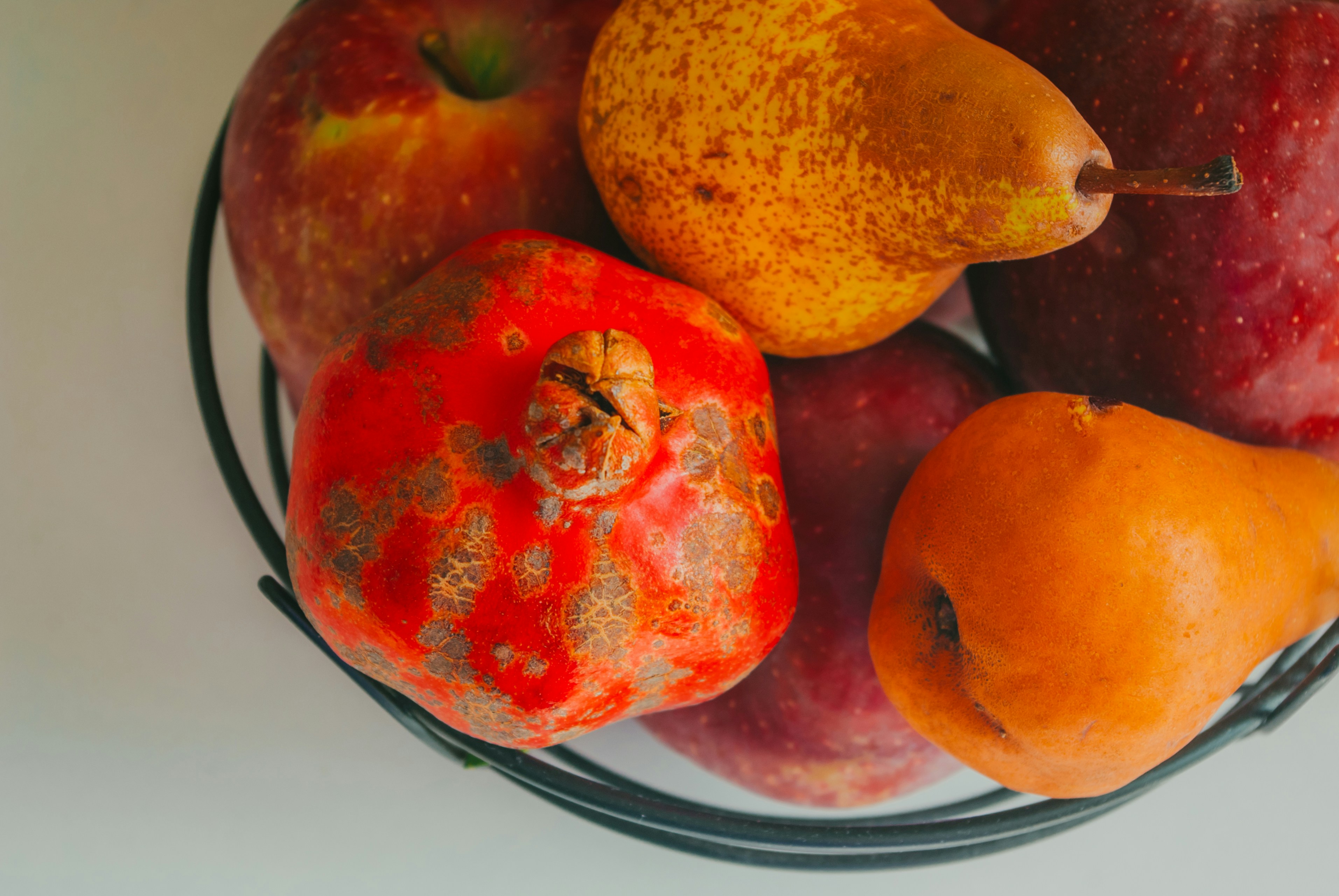 Photo by moonmoons_days