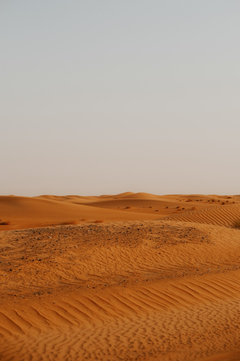 a person riding a horse in the desert