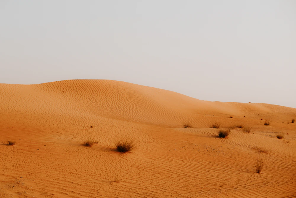 A group of travellers exploring the Dubai desert