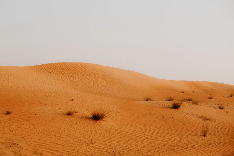 Travellers exploring the Dubai desert