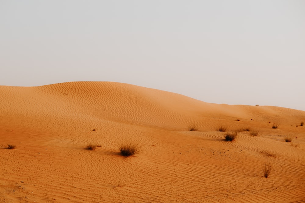 a group of people walking across a desert