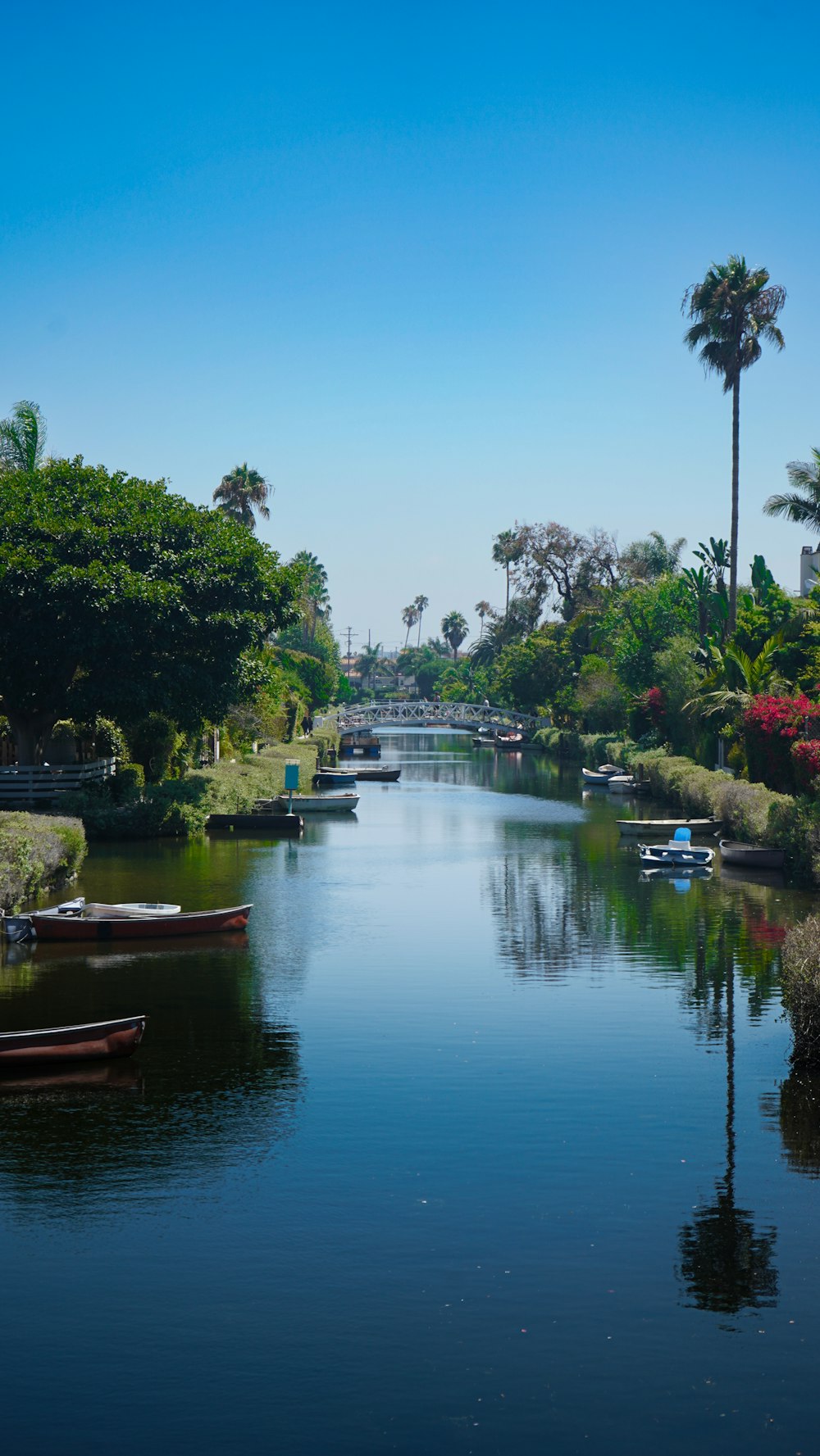 a body of water surrounded by trees and buildings