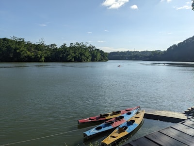 A serene river scene with three kayaks of different colors, red, blue, and yellow, tied to a small dock. Lush green trees line the opposite bank, under a clear blue sky with few clouds. A single person is seen kayaking in the distance.